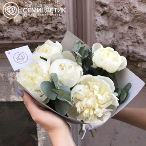 Букет из 5 белых пионов Premium с эвкалиптом в белой пленке