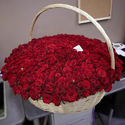Композиция из 501 красной розы Premium 40 см (Кения) в корзине
