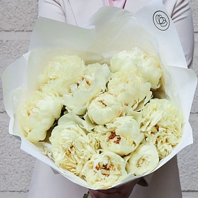 Букет из 11 лимонных пионов Lemon Chiffon Premium в белой пленке