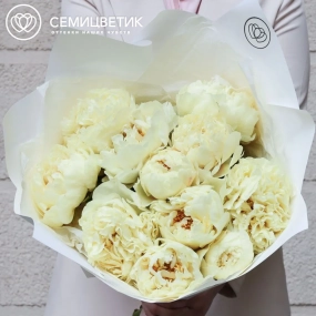 Букет из 11 лимонных пионов Lemon Chiffon Premium в белой пленке