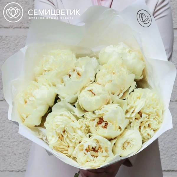 Букет из 11 лимонных пионов Lemon Chiffon Premium в белой пленке