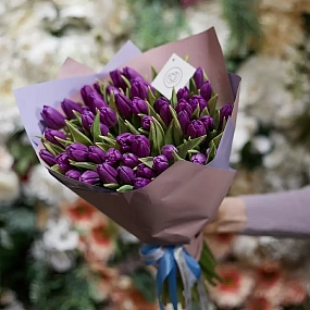 Букет из 51 фиолетового тюльпана в сиреневой пленке