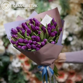 Букет из 51 фиолетового тюльпана в сиреневой пленке