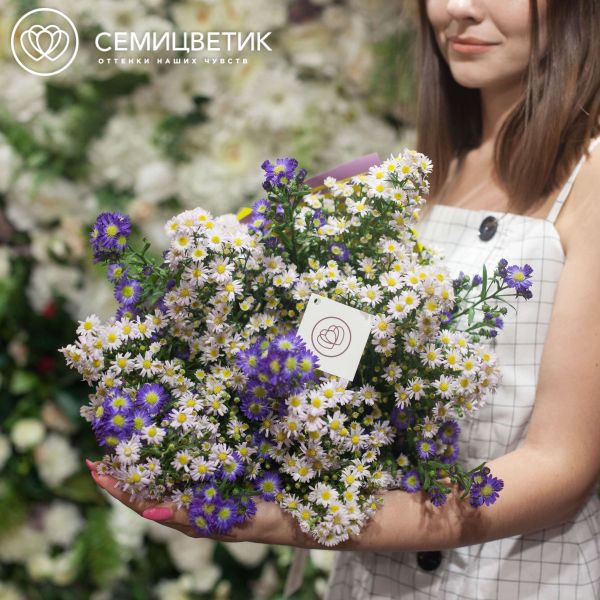 Букет из 15 кустовых астр микс