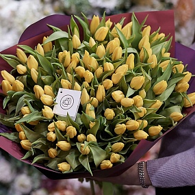 Букет из 101 желтого тюльпана 40 см в бордовой пленке