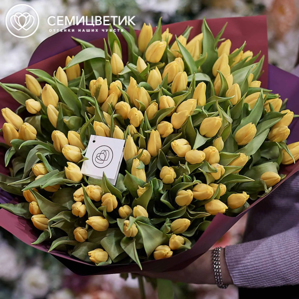 Букет из 101 желтого тюльпана 40 см в бордовой пленке