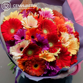 Букет из 51 герберы микс в сиреневой пленке