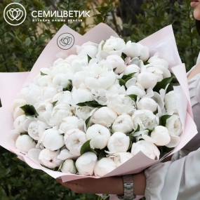 Букет из 51 нежно-розового пиона Standart в сиреневой пленке