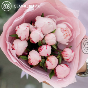 Букет из 11 розовых пионов Standart в розовой пленке