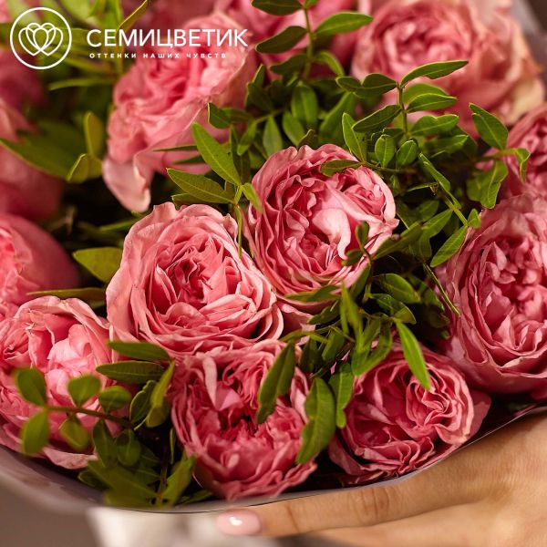 Букет из 15 розовых пионовидных роз Love Me Tender 40 см с фисташкой