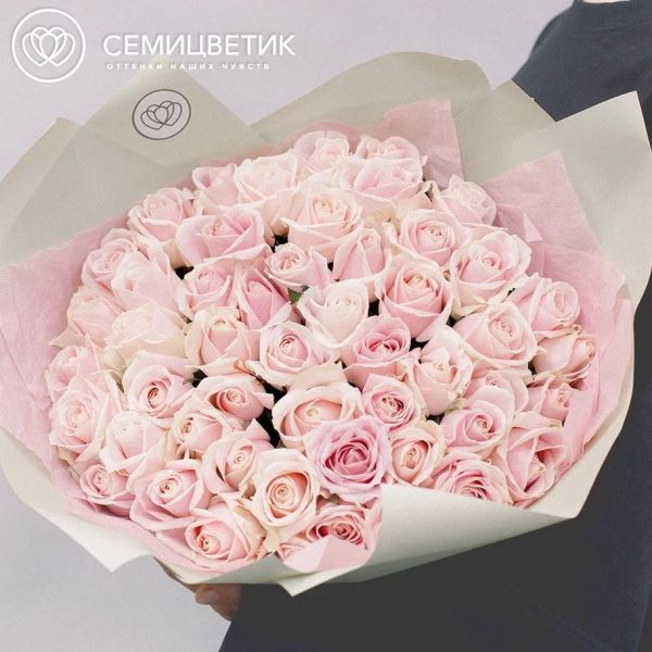 Букет из 51 нежно-розовой розы 50 см (Россия) в кремовой пленке