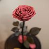 Тёмно-розовая роза в колбе 31 см