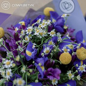 Букет из ирисов, матрикарии и альстромерии в сиреневой пленке