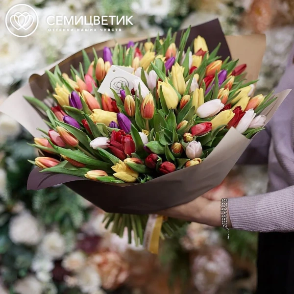 Букет из 151 тюльпана микс в бордовой пленке