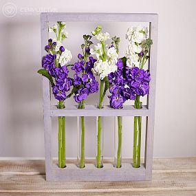 Деревянная рамка с махровой маттиолой