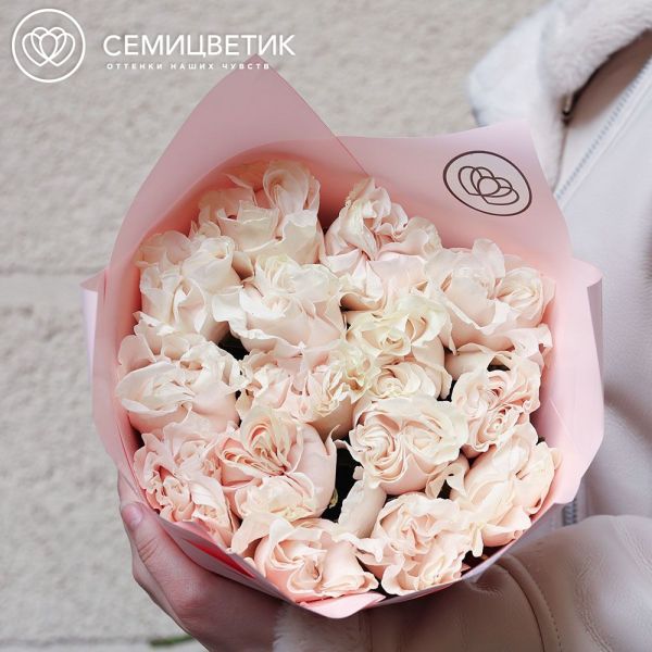 Букет из 15 кремовых пионовидных роз Cotton X-pression 70 см (Эквадор) в розовой упаковке