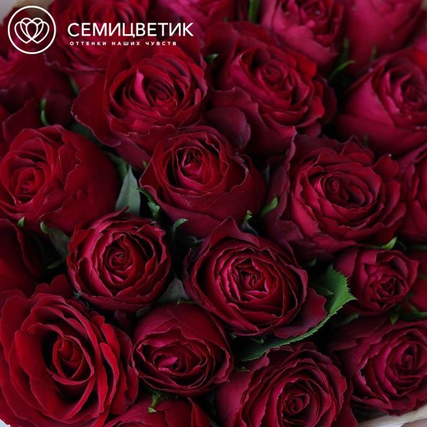 Букет из 25 красных роз с крупным бутоном 40 см (Кения)