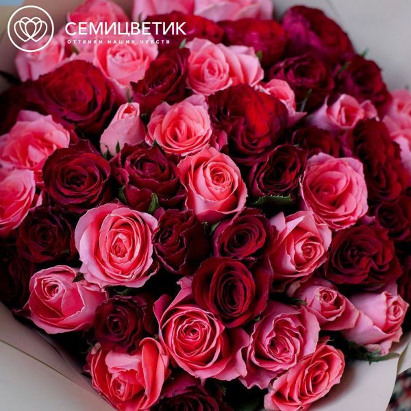 Букет из 51 красной и коралловой розы 30 см (Кения)