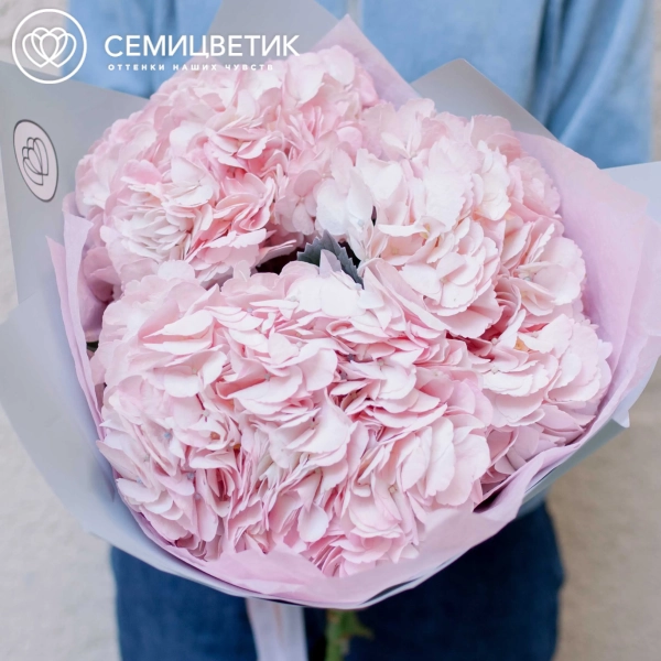 Акция! 3 розовые гортензии