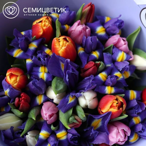 Букет из 15 синих ирисов и 20 тюльпанов микс 40 см в сиреневой пленке