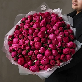 Букет из 101 ярко-розового пиона Red Sarah Bernhardt Premium в прозрачной упаковке