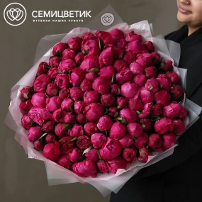 Букет из 101 ярко-розового пиона Red Sarah Bernhardt Premium в прозрачной упаковке