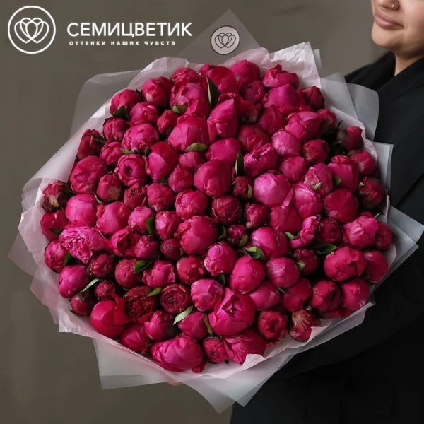 Букет из 101 ярко-розового пиона Red Sarah Bernhardt Premium в прозрачной упаковке