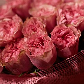 Букет из 51 розовых пионовидных роз Love Me Tender 40 см