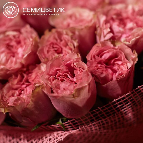 Букет из 51 розовых пионовидных роз Love Me Tender 40 см