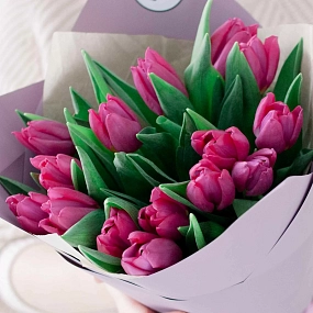 Мини-букет  из 15 малиновых тюльпанов в сиреневой пленке