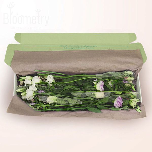 Bloometry Box «Оттенки маджента»