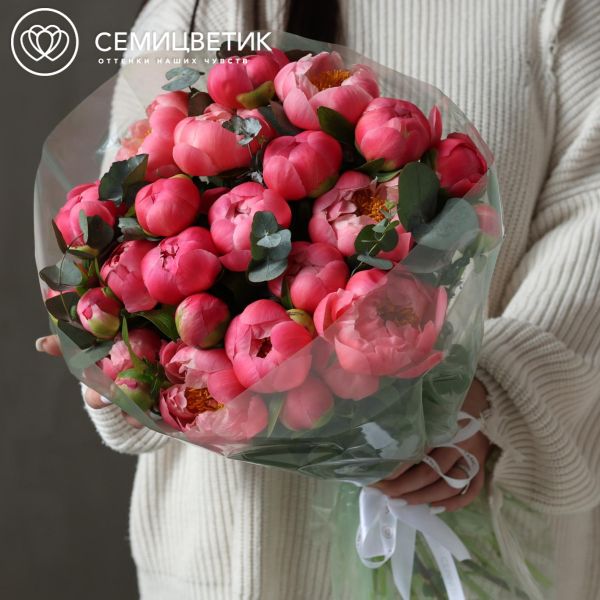 Букет из 25 пионов Coral Sunset Premium с эвкалиптом в полупрозрачной упаковке