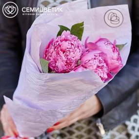Букет из 3 ярко-розовых пионов Flemming Premium в сиреневой пленке