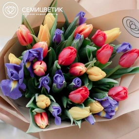 Букет из 15 ирисов и 20 тюльпанов в кремовой пленке