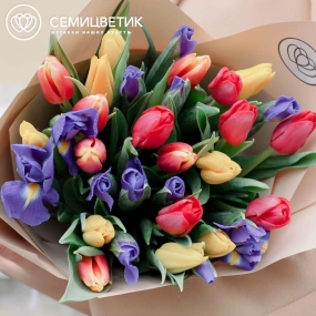 Букет из 15 ирисов и 20 тюльпанов в кремовой пленке