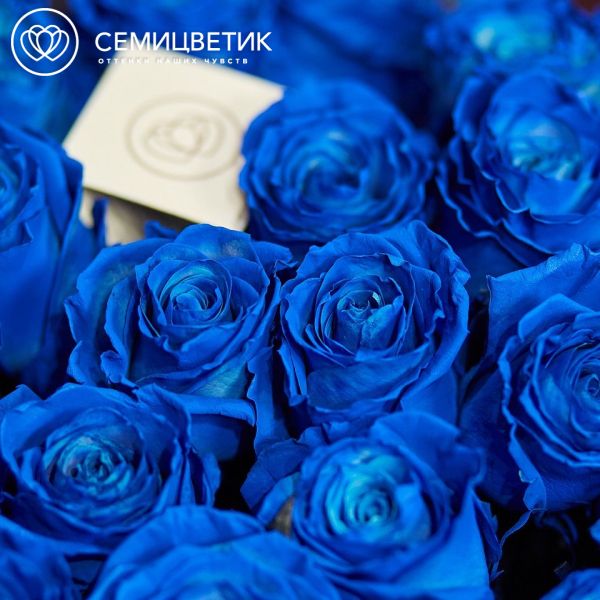 Букет из 25 синих роз 60 см (Эквадор)