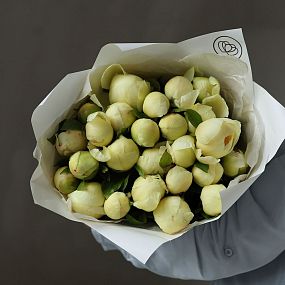 Букет из 25 лимонных пионов Lemon Chiffon Premium в белой пленке