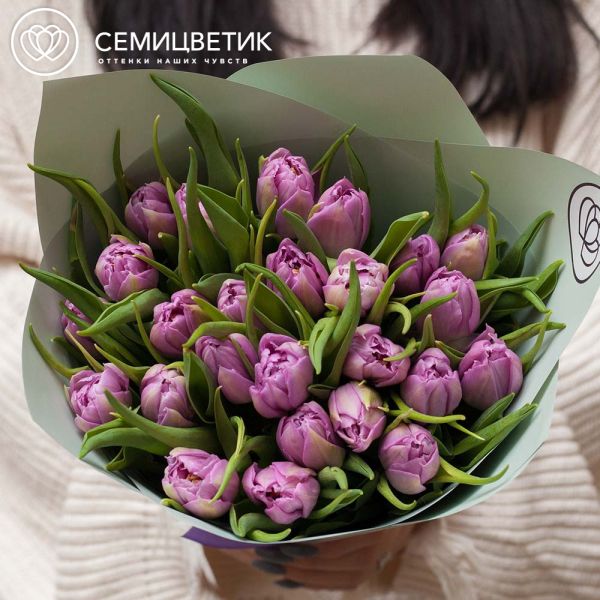 Букет из 25 сиреневых пионовидных тюльпанов в зеленой пленке