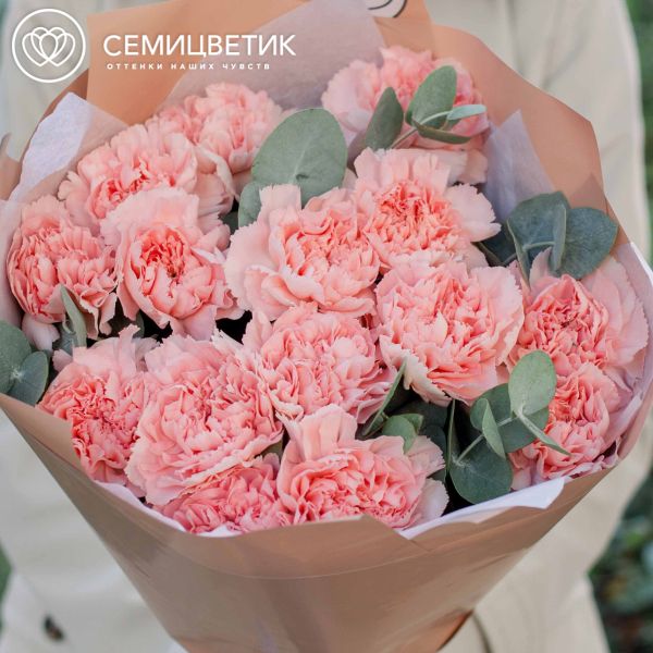 Букет из 15 розовых гвоздик с эвкалиптом