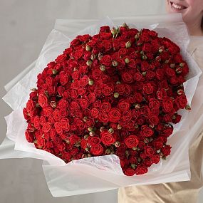 Букет из 101 красной кустовой розы 40-50 см (Россия)