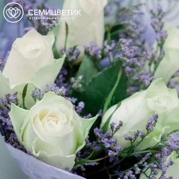 Букет из 7 белых роз 40 см (Кения) с лимониумом в голубой пленке