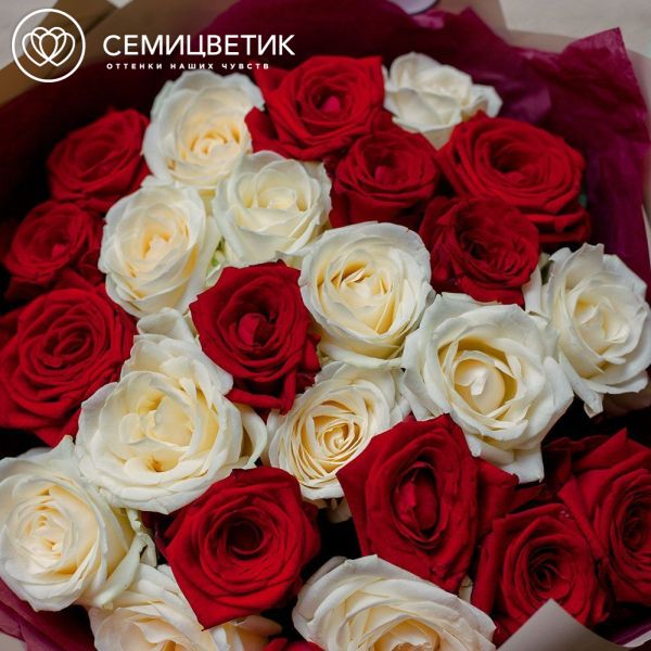 Букет из 25 белой и красной розы 60 см (Россия)