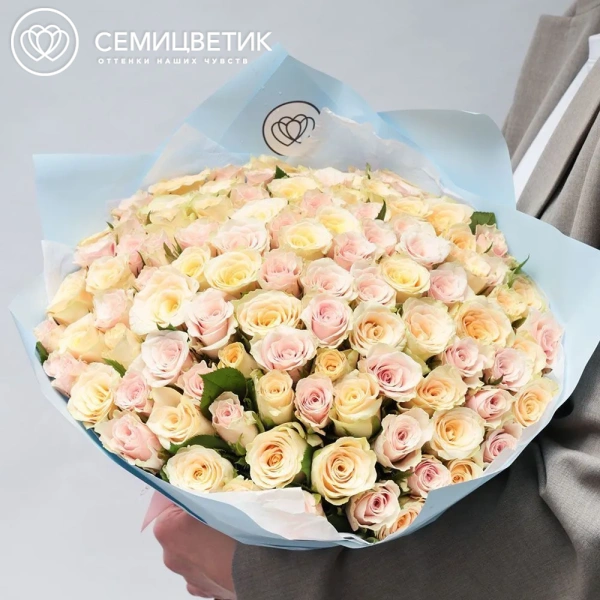 Букет из 101 кремовой и нежно-розовой розы 30 см (Кения) в голубой пленке