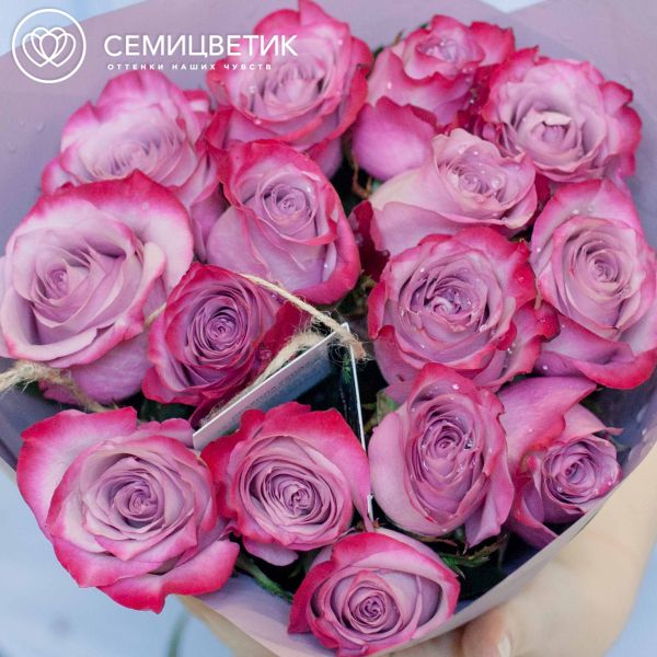 Букет из 15 сиреневых с фиолетовой каймой роз Deep Purple 50 см (Эквадор)