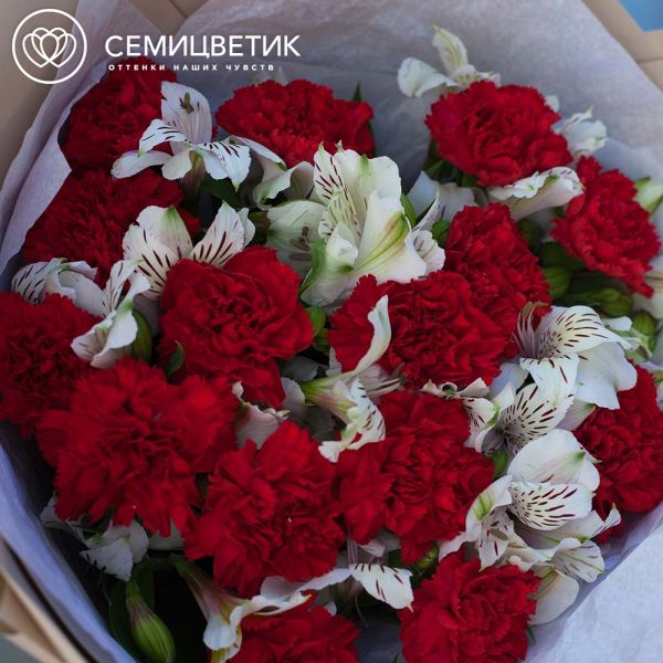 Букет из 15 красных гвоздик и 10 белых альстромерий в розовой пленке