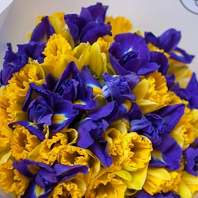 Букет из 26 желтых нарциссов и 19 ирисов в прозрачной пленке