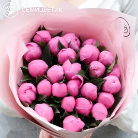 Букет из 25 ярко-розовых пионов Standart в бордовой пленке