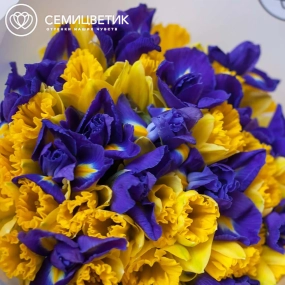 Букет из 26 желтых нарциссов и 19 ирисов в прозрачной пленке