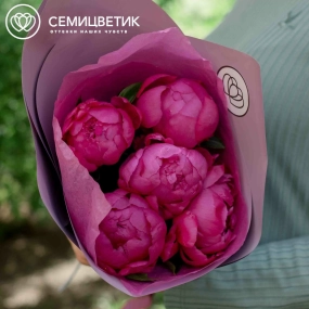 Букет из 5 ярко-розовых пионов Standart Plus в сиреневой пленке
