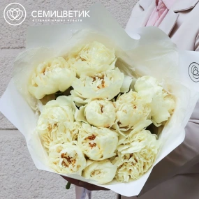 Букет из 11 лимонных пионов Lemon Chiffon Premium в белой пленке
